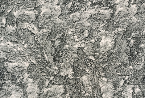  Коврик Принт Катрина (верх-одноуровневый петлевой ворс, основа-войлок) 0,5*0,5м фото 1