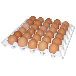 Лоток для яиц