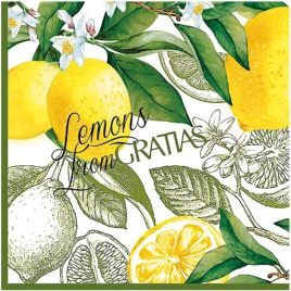Салфетки бумажные 3сл 33см 20л Gratias Лимонный сад