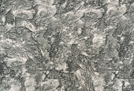 Коврик Принт Катрина (верх-одноуровневый петлевой ворс, основа-войлок) 0,5*0,5м
